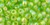 TOHO Round 6/0 Seed Bead Transparent-Rainbow Lime Green, 2.5-Inch Tube