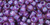 TOHO Round 6/0 Seed Bead Inside-Color Rainbow Rosaline/Opaque Purple-Lined, 2.5-Inch Tube