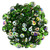 Matubo SuperDuo 5 x 2mm Bead, Green - Vitral, 2.5-Inch Tube Matubo SuperDuo 5 x 2mm Bead, Green - Vitral, 2.5-Inch Tube