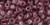 TOHO Round 6/0 Seed Bead Transparent Med Amethyst, 2.5-Inch Tube