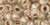 TOHO Round 3/0 Seed Bead Gold-Lined Crystal, 2.5-Inch Tube