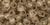 TOHO Round 6/0 Seed Bead Gold-Lined Frosted Crystal, 2.5-Inch Tube