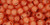 TOHO Round 6/0 Seed Bead Silver-Lined Milky Grapefruit, 2.5-Inch Tube