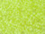 Miyuki Delica 11/0 Tube 2.5" : Limeade Luminous Neon Color