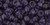 TOHO Round 6/0 Seed Bead Transparent Sugar Plum, 2.5-Inch Tube