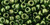 TOHO Round 6/0 Seed Bead Gold-Lustered Fern, 2.5-Inch Tube TOHO Round 6/0 Seed Bead Gold-Lustered Fern, 2.5-Inch Tube