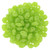 Matubo SuperDuo 5 x 2mm Bead, Matte - Milky Peridot, 2.5-Inch Tube