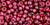 TOHO Round 8/0 Seed Bead Gold-Lustered Raspberry, 2.5-Inch Tube