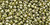 TOHO Round 11/0 Tube 2.5" : Gold-Lustered Green Tea