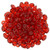 Matubo SuperDuo 5 x 2mm Bead, Siam Ruby, 2.5-Inch Tube