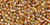 TOHO Round 11/0 Tube 2.5" : Gold-Lined Rainbow Topaz