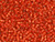 Miyuki Delica 11/0 Tube 2.5" : Trans Silver Lined Semi-Matte Ruby Red Miyuki Delica 11/0 Tube 2.5" : Trans Silver Lined Semi-Matte Ruby Red