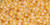 TOHO Round 11/0 Tube 2.5" : Transparent-Rainbow Frosted Lt Topaz