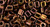 TOHO Cube 4mm Seed Bead Olympic Bronze, 2.5-Inch Tube