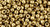 TOHO Round 8/0 Seed Bead Permafinish Galvanized Golden Fleece, 2.5-Inch Tube