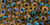 TOHO Round 6/0 Seed Bead Inside-Color Rainbow Jonquil/Jet-Lined, 2.5-Inch Tube