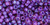 TOHO Round 8/0 Seed Bead Inside-Color Rainbow Rosaline/Opaque Purple-Lined, 2.5-Inch Tube