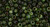 TOHO Round 8/0 Seed Bead HYBRID Transparent Peridot - Picasso, 2.5-Inch Tube