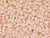 Miyuki Delica 11/0 Tube 2.5" : Matte Pale Rose