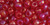 TOHO Round 6/0 Seed Bead Transparent-Rainbow Ruby, 2.5-Inch Tube