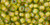 TOHO Round 6/0 Seed Bead Inside-Color Jonquil/Apricot-Lined, 2.5-Inch Tube