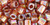 TOHO Cube 4mm Seed Bead Transparent-Rainbow Smoky Topaz, 2.5-Inch Tube TOHO Cube 4mm Seed Bead Transparent-Rainbow Smoky Topaz, 2.5-Inch Tube