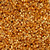 Cylin Bead 11/0 25g Bag ElectroGold Coat