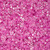 Cylin Bead 11/0 25g Bag Crystal Fuchsia Lined Ceylon
