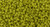 TOHO Round 15/0 Seed Bead Semi Glazed - Lemongrass, 2.5-Inch Tube