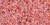 TOHO Demi Round 11/0 Seed Bead Inside-Color Rainbow Crystal/Salmon-Lined, 2.5-Inch Tube