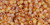 TOHO Cube 1.5mm Seed Bead Transparent-Rainbow Frosted Dark Topaz, 2.5-Inch Tube