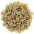 Starman Ring Bead 1/4mm Tube 2.5" : Antique Beige - Celsian