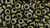 TOHO Demi Round 4mm Seed Bead Bronze Antique Gold, 2.5-Inch Tube