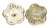 Starman Flower Beads 10 x 10mm : Gold 1/2 (25pcs)