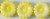 Starman Two Hole Sunflowers 12mm : Opaque White - Yellow Picasso (25pcs) Starman Two Hole Sunflowers 12mm : Opaque White - Yellow Picasso (25pcs)