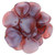 Starman Rose Petals 14 x 13mm : Fuchsia/Silky Blue (25pcs)
