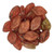 Starman Leaves 12 x 7mm : Matte - Milky Orange - Picasso (25pcs)