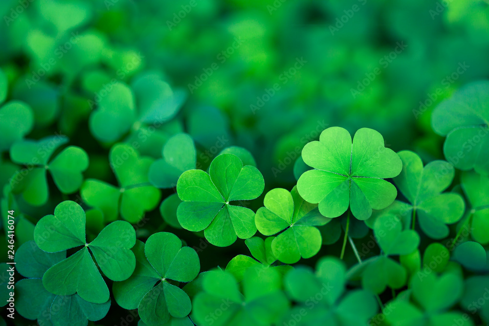 Alternative banner alt