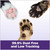 Arm & Hammer Litter Slide Multi-Cat Scented Clumping Clay Cat Litter Arm & Hammer Litter Slide Multi-Cat Scented Clumping Clay Cat Litter