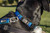 DOG iD Personalized Dog ID Tag DOG iD Personalized Dog ID Tag