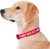 GoTags Nylon Personalized Dog Collar GoTags Nylon Personalized Dog Collar