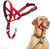 Halti Nylon Dog Headcollar Halti Nylon Dog Headcollar