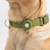 Awoo Fetch! AirTag Holder for Dog Collar, 2 count Awoo Fetch! AirTag Holder for Dog Collar, 2 count
