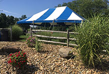 Rent a Canopy Tent