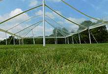 Rent a Clear Top Tent