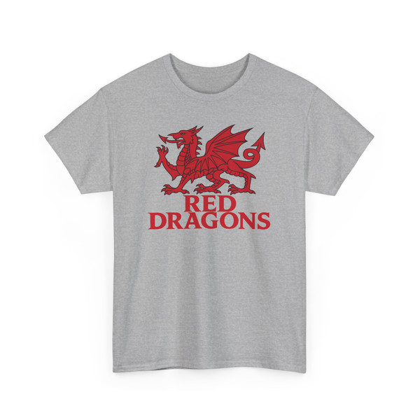 Red Dragons Soccer