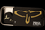 Gold Birds Assorted Picks w/Tin (12) - Medium