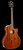Cort Grand Auditorium Semi Acoustic +bag