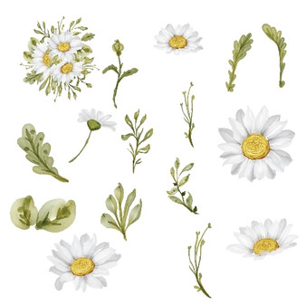 Pastele White Daisy Flowers Clipart Digital File Download Printable Colorful Digital Art Instant Download for Clothing Cards & invitations Stickers Mugs Stamps Candles Posters Signs Labels Stationary Scrapbooking material and Party Supplies