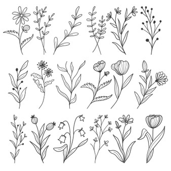 Pastele Botanical Leaf Doodle Wildflower Line Art Clipart Digital Download Printable File Editable Artwork Instant Download PNG EPS File 300 Dpi Paper Products Invitations Greeting Card Stickers Birthday Clothing Stationary Scrapbooking